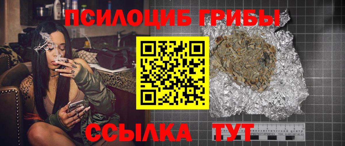 Псилоцибиновые грибы мицелий Курчатов